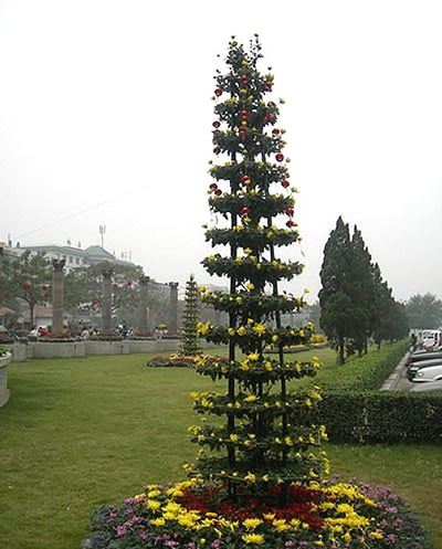 開(kāi)封前方園藝——菊花造型廠家直銷